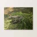 Recherche de grenouille puzzles Amphibiens