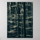 Recherche de hêtre posters Bois