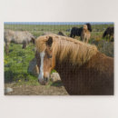 Recherche de cheval puzzles Île