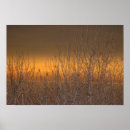 Suche nach erie poster Natur