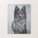 Suche nach border collie puzzle Haustier