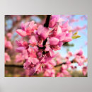 Suche nach multiregion poster Frühling