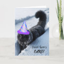 Recherche de felines chapeaux Chaton