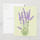 Recherche de fleurs lavande cartes postales Bouquet