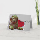 Recherche de happy birthday goldendoodle Chiot