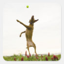 Recherche de effort autocollants Motion