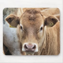 Suche nach niedliches kalb mousepads Kuh