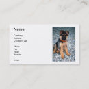 Recherche de allemande cartes visite Chien