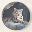 Suche nach schneeleopard untersetzer Katze