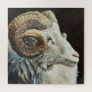Recherche de moutons puzzles Brebis
