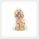 Suche nach cockapoo aufkleber Haustier