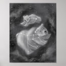 Recherche de constellations posters Ciel nocturne