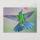 Suche nach flight postkarten Vogelvogel