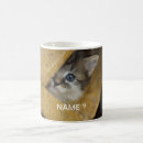 Recherche de yeux cuisine dîner Minou