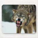 Suche nach wolf grau mousepads Wild lebende tiere