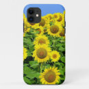 Suche nach feld iphone hüllen Sonnenblumen