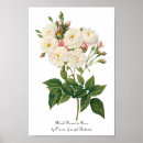 Suche nach antike botanische illustration poster Natur