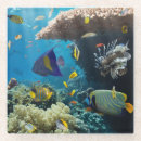 Recherche de poisson rouge dessous de verres Animal