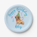 Recherche de teckel assiettes Doxie