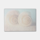 Suche nach muscheln post it Seashell