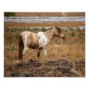 Recherche de tuyau posters Paysage