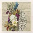 Recherche de éducation bar Diplôme