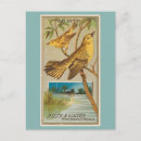 Recherche de siffleur Oiseaux
