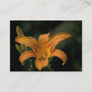 Suche nach gelbe lilien visitenkarten Orange