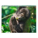Suche nach gorilla kalender Affen