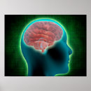 Recherche de cerveau posters Système nerveux