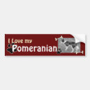 Suche nach spitz autoaufkleber Haustiere