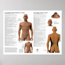 Suche nach meridiane poster Chinesische medizin