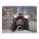 Suche nach der bär kalender Fotografie