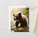 Suche nach wildlife postkarten Braunbär