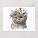 Recherche de chat et papillon cartes postales Animal