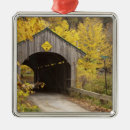 Suche nach verwitterter ornamente Herbst