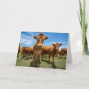 Recherche de herbe vœux cartes Animal