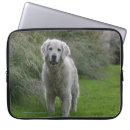 Suche nach flach laptop schutzhüllen Flach überzogenes goldenes