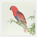 Recherche de pousses de bambou Chinois