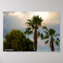 Recherche de arbre tropical posters Palmiers