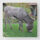 Suche nach esel wanduhren Lustig
