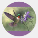 Recherche de fleur de colibri autocollants Pour tous