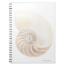 Suche nach nautilus kleine notizbücher Ozean