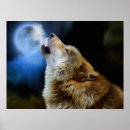 Suche nach wolf poster Wölfe