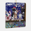 Suche nach party tier ornamente Lustig