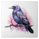 Suche nach raven fliesen Schwarzrabe