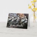 Suche nach waschbär geburtstag karten Tiere