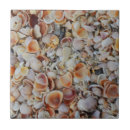 Recherche de coquillages carreaux Maison de plage
