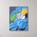 Suche nach putzen poster Vogel