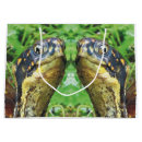 Suche nach dosenschildkröte Reptil